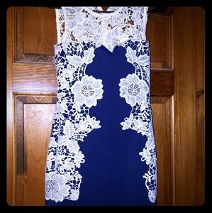 Venus lace dress